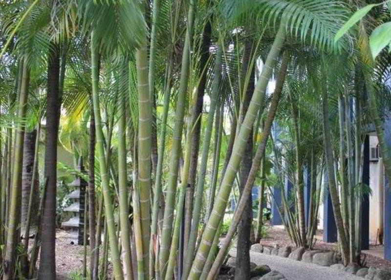 โบห์เมียรีสอร์ทเคิร์น แคนส์ ภายนอก รูปภาพ